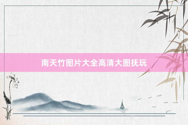 南天竹图片大全高清大图抚玩